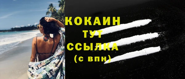 сатива Абаза