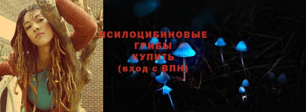 мяу мяу мука Алексин